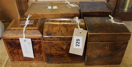 Four small Georgian burr walnut tea caddies, various & a Victorian  two- division caddy (5, faults)